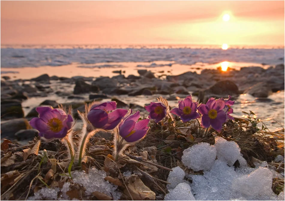 Байкал весной 