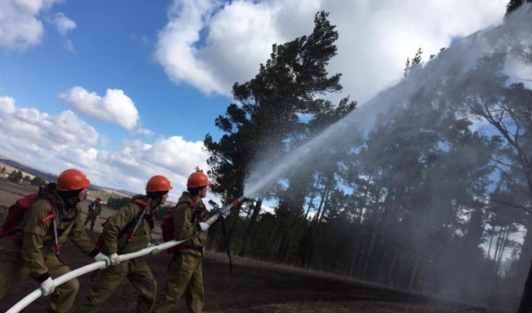 За сутки в лесном фонде в Иркутской области ликвидировано пять пожаров                            
