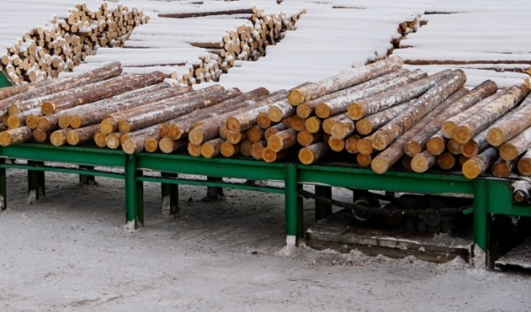 В Усть-Куте появится деревообрабатывающее производство
