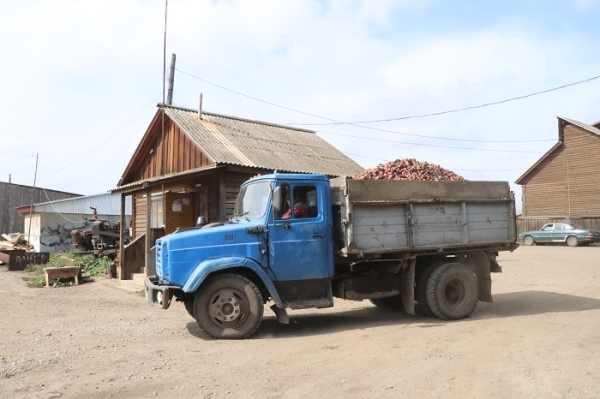 
			Сельхозпредприятия и фермеры Иркутского района ведут уборочную кампанию 		