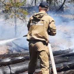 За минувшие сутки в лесном фонде Иркутской области обнаружено и ликвидировано одно возгорание