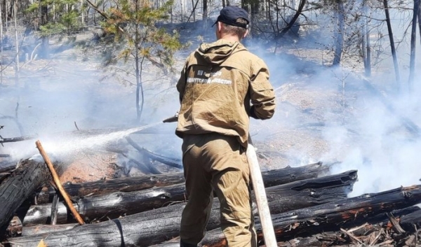 За минувшие сутки в лесном фонде Иркутской области обнаружено и ликвидировано одно возгорание                            