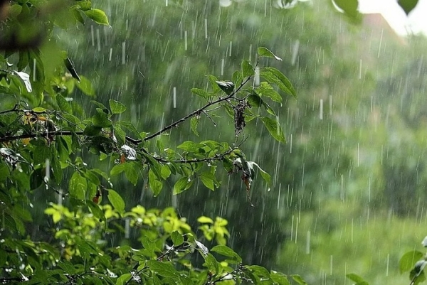 
                МЧС предупреждает о сильных дождях, грозах и граде 25 и 26 июля в Иркутской области
                
            