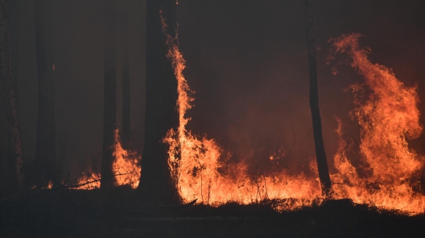 Минприроды Магаданской области: в регионе горит почти 135 тысяч гектаров тайги