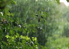 
                МЧС предупреждает о сильных дождях, грозах и граде 25 и 26 июля в Иркутской области
                
            