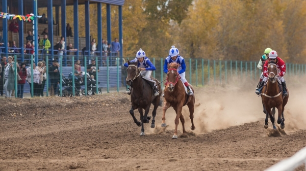 
			Конные соревнования на призы Мэра Иркутского района будут проходить ежегодно		