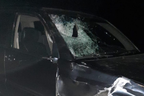 
                Водитель Toyota Highlander насмерть сбил пешехода в Саянске
                
            
