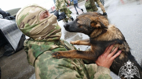 Боец ОМОН вернулся из зоны СВО в Иркутск с собакой, которая станет служебной