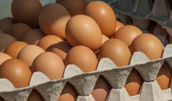 «Синдром Нового года» или почему в Приангарье подорожали яйца                            