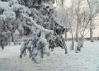 
                Синоптики прогнозируют небольшой снег и до -8 градусов в Иркутске 7 января
                
            