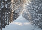 
                Переменная облачность и до -6 градусов ожидается в Иркутске 8 февраля
                
            
