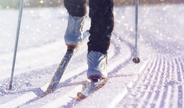 Массовая лыжная гонка состоится в Иркутске 9 марта                            