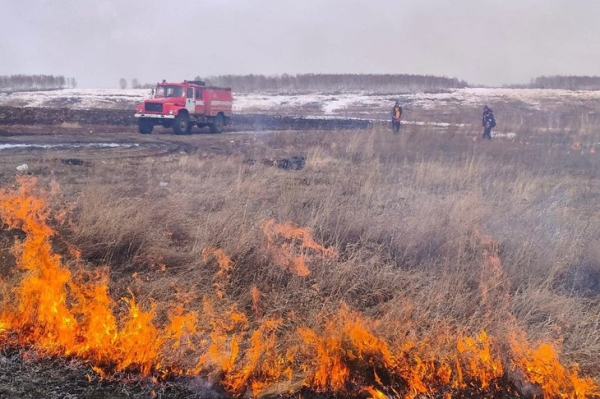 
                За сутки в Иркутской области потушили шесть лесных пожаров
                
            