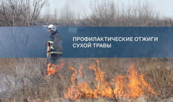 8 апреля в двух округах Иркутска сожгут сухую траву                            