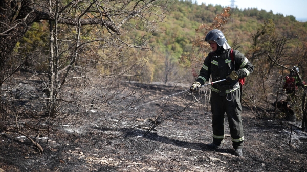 В Братском районе Иркутской области загорелись дома в пяти СНТ