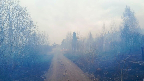 В СНТ "Алюминщик" в Братском районе Иркутской области потушили крупный пожар