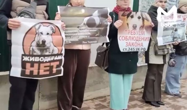 Иркутяне собрались на митинге против живодеров                            