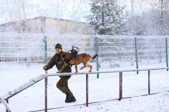 Площадку для выгула собак открыли в иркутском микрорайоне Зеленый                            