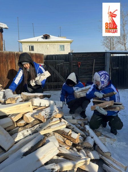 
			Акция «Снежный десант» закончилась в Иркутском районе		