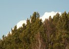 
                10 апреля в лесах южных и центральных районов Иркутской области откроют пожароопасный сезон
                
            