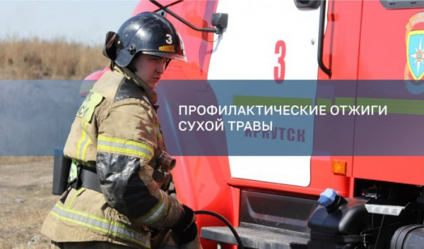 Отжиги сухой травы пройдут в Ленинском и Октябрьском округах Иркутска                            