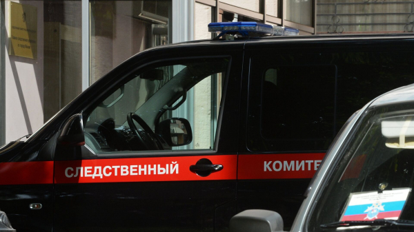СК возбудил уголовное дело после нападения бездомных собак на детей в Иркутске
