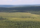 
                Во всех лесничествах Иркутской области начался пожароопасный сезон
                
            