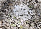 
                800 брикетов с вакциной от бешенства разложили в Прибайкальском нацпарке вблизи Листвянки
                
            