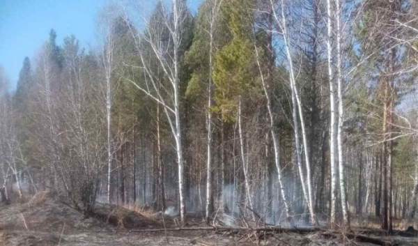 Три лесных пожара потушено за сутки в Приангарье                            