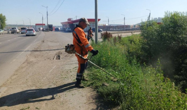 В Иркутске ведется покос травы                            