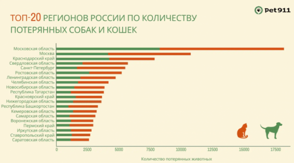 Приангарье вошло в ТОП-20 регионов по количеству пропавших животных                            