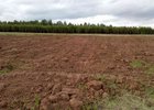 
                В Жигаловском районе собственник расчистил пашню после предписания Россельхознадзора
                
            