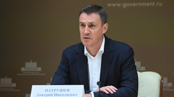 Вице-премьер Патрушев поручил ускорить обновление информации о лесных запасах РФ