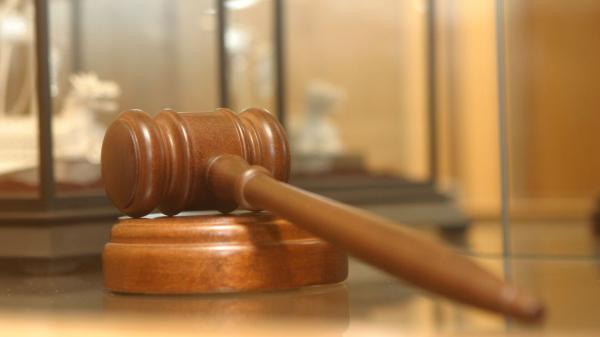В Ангарске убившего собаку мужчину приговорили к 240 часам обязательных работ