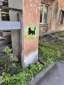 В Иркутске прошла акция «Очистим наши улицы!»                            