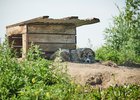 
                В Иркутске прооперировали шестилетнего мальчика, пострадавшего после нападения собаки
                
            