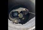 
                В Усть-Куте спасли бездомную собаку, несколько дней просидевшую в коллекторном колодце
                
            