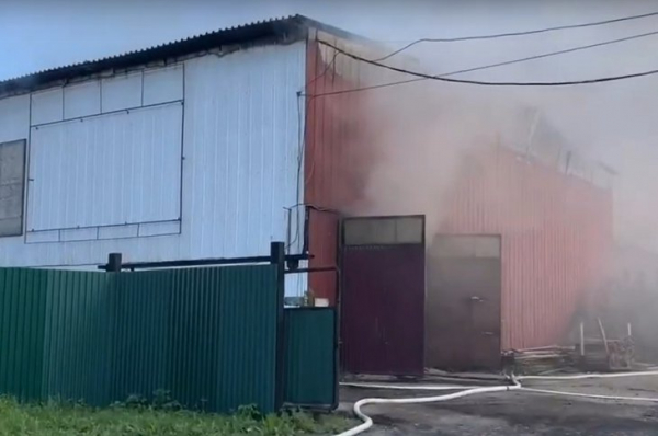 
                Пожарные ликвидировали открытое горение на фанерном комбинате в Усолье-Сибирском
                
            