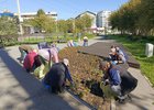 
                Клумбы в Иркутске начали готовить к зиме
                
            