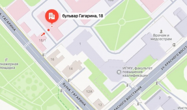 Движение транспорта по бульвару Гагарина будет закрыто на ночь в пятницу                            