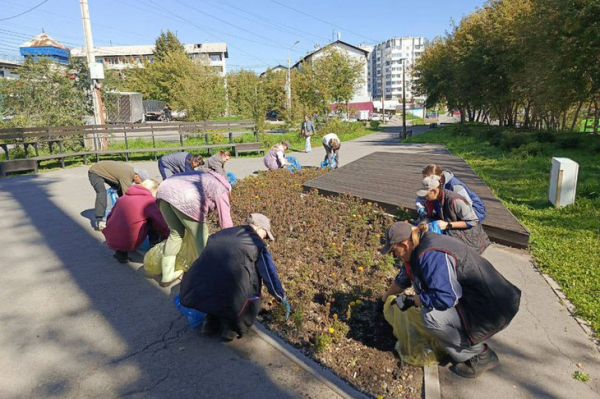 
                Клумбы в Иркутске начали готовить к зиме
                
            