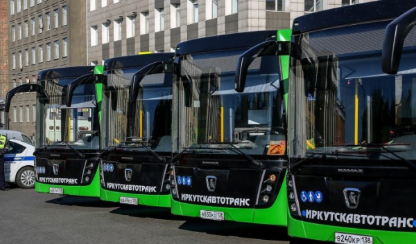 До 30 сентября автобусы на садоводческих маршрутах будут работать ежедневно                            