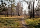 
                В Иркутской области с 8 мая ограничивают посещение лесов при высокой пожароопасности
                
            