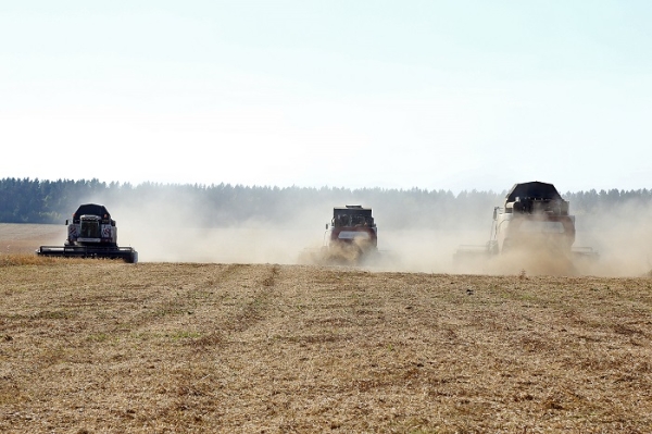 
				Сельхозпредприятия Иркутского района ведут уборку картофеля, кормовых и зерновых культур			