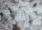 
                Днем 14 декабря синоптики прогнозируют температуру до -30 градусов в Иркутске
                
            