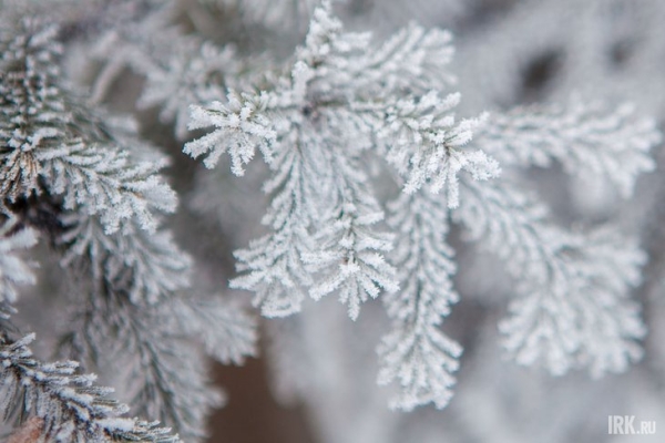 
                Днем 14 декабря синоптики прогнозируют температуру до -30 градусов в Иркутске
                
            