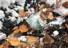 
                Полицейские задержали двоих иностранцев, сбывавших наркотики в городах Иркутской области
                
            