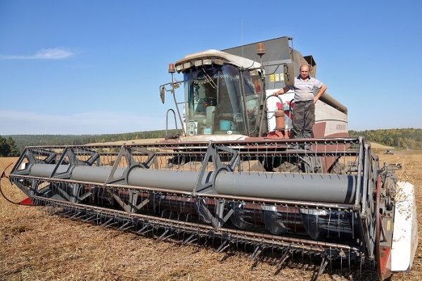 
				Сельхозпредприятия Иркутского района ведут уборку картофеля, кормовых и зерновых культур			