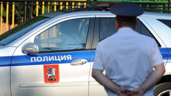 В Ангарске неизвестный сбросил кота с пятого этажа многоквартирного дома