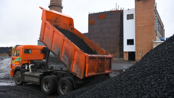 Путин поручил правительству и РЖД обеспечить вывоз угля из Сибири